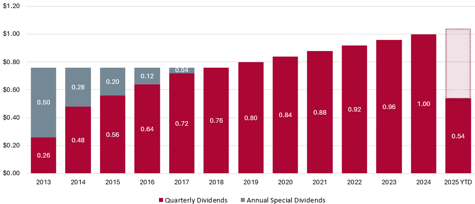 Dividends growth over time bar chart